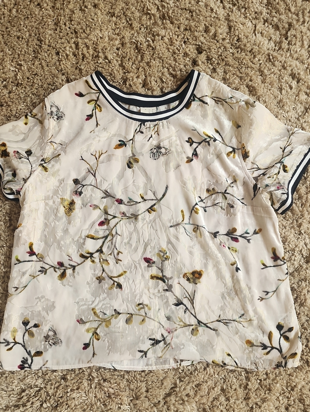 Women's Creme Floral Short-Sleeve Top with Black Trim BurnedOut Velvet With Gold